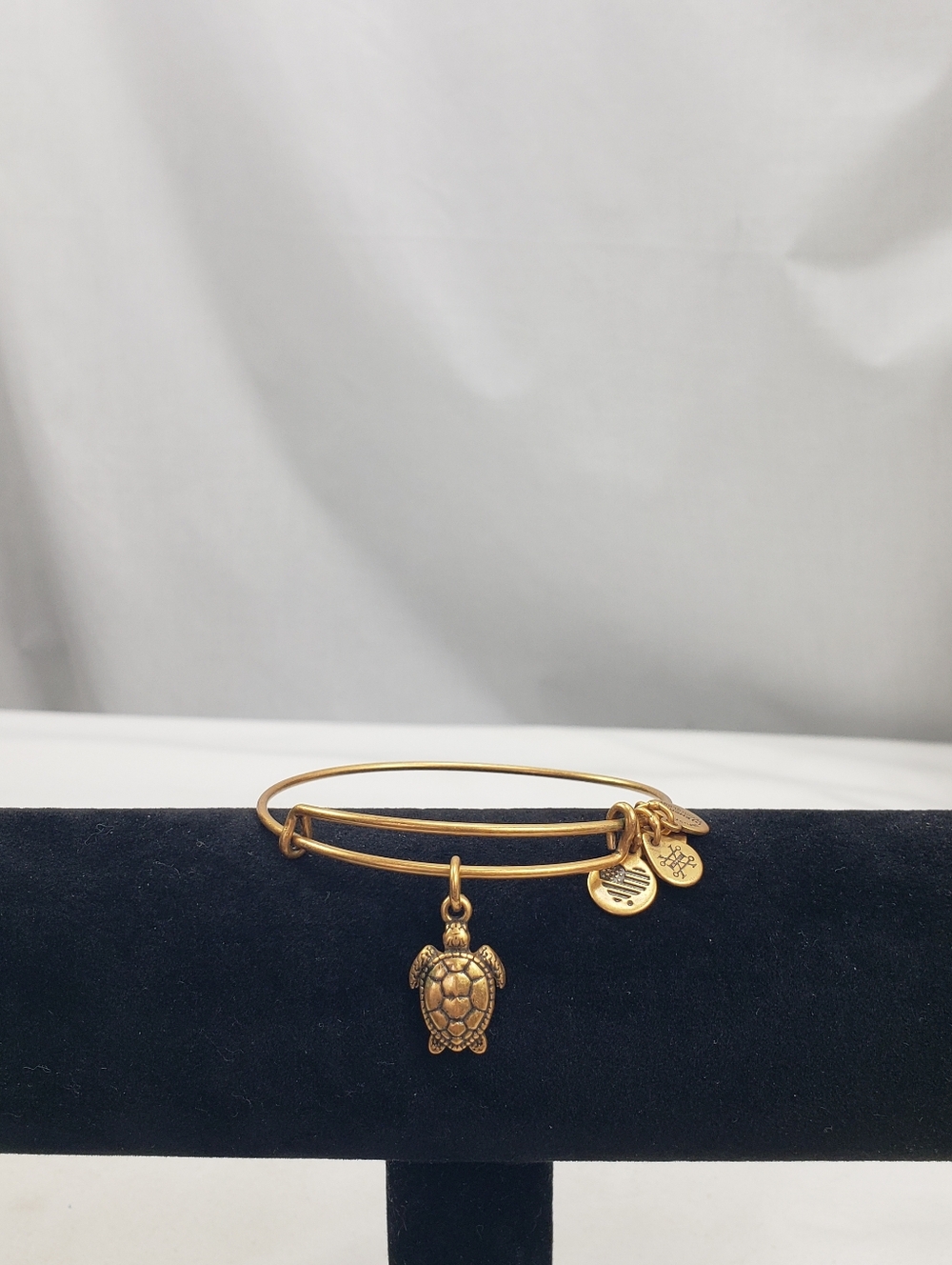 Alex and Ani Turtle Gold Bracelet